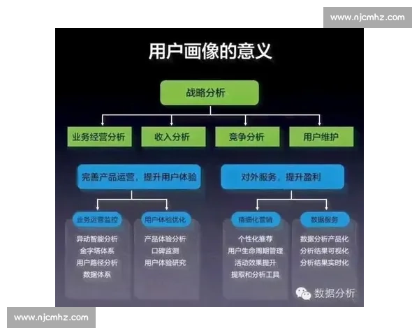 萨尔vs全面解析与应用策略探索及其在不同领域的影响研究